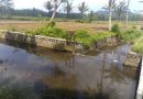 Pentingnya Infrastruktur Pertanian Terkait Pengairan Pentingnya Infrastruktur Pertanian Terkait Pengairan
